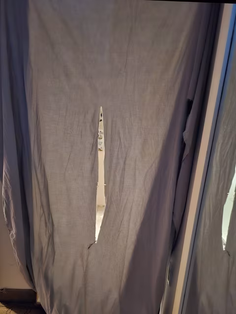 ReneeVegasGloryhole