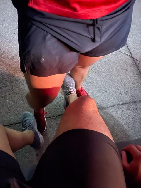 Altx_alexis