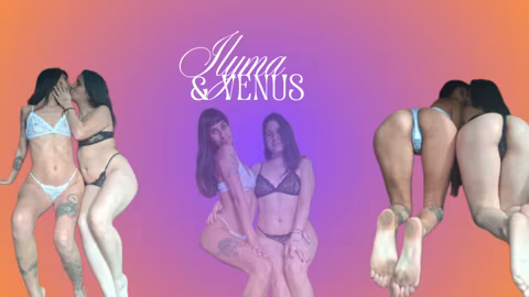 ILY & VENUS